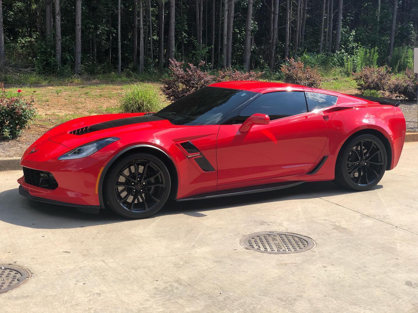 legal tint